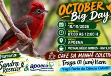 October Big Day reúne observadores de aves no Parque Apoena neste sábado